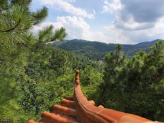 -红山村
