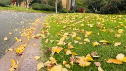 -雅馨国际月子中心