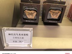 -辽宁古生物博物馆