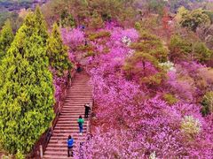 -天台山赤城山景区