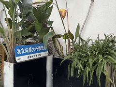 -大汗烧烤滩羊馆(清水河公园店)
