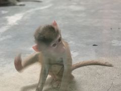 -西安秦岭野生动物园