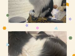 -平行世界·猫咖(首经贸店)