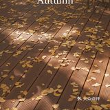 魔都秋天最火的银杏咖啡店