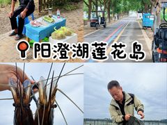 -小陆莲花蟹园农家乐(莲花岛店)