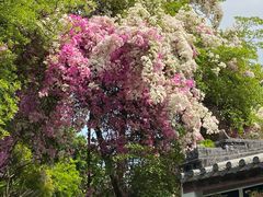 -深圳国际园林花卉博览园