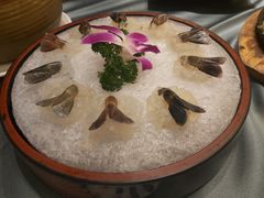 -沙龙酒家