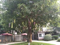 点击看大图 -莲生母婴月子中心(清水河公园店)