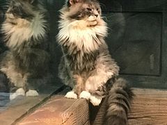 -顺德南宏海立方海洋公园