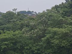 -龙坞茶村