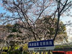 -高东镇樱花园