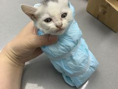 -爱侣宠医·鹦鹉专科·小型哺乳类·异宠专科(灵石路店)