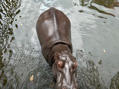 -海南热带野生动植物园