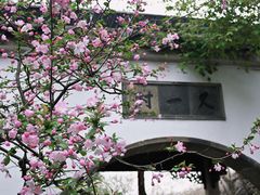 -留园