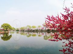 -无锡蠡湖国家湿地公园-蠡园