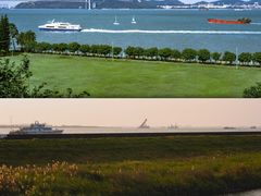 -大湾区中央湿地公园