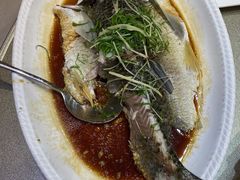 -丰尔粥食·顺德鱼生·干蒸排骨顺德菜(大良分店)