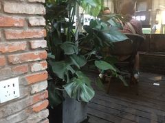 -VESH COFFEE(定西路店)