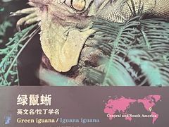 -绿色星球动物主题公园
