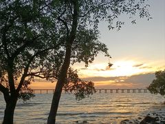 -宝安西湾红树林湿地公园