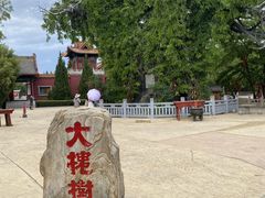 -大槐树寻根祭祖园