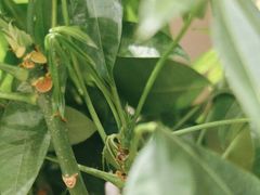 -华海酒店(茂名高铁站店)