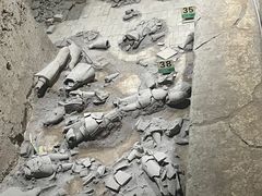 -秦始皇帝陵博物院(兵马俑)
