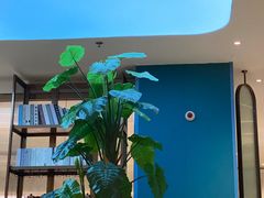 -悦海·家宴·冰花皮皮虾大锅贴(宝龙店)