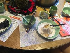 -海桐