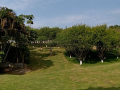 -广州莲花山旅游区