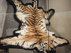 -中国铁道博物馆(正阳门馆)