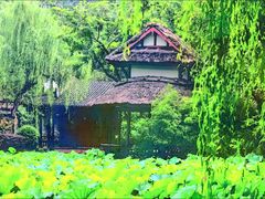 -桂湖森林公园