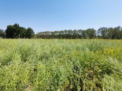 -天津武清北运河郊野公园房车露营地