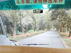 -五泄景区