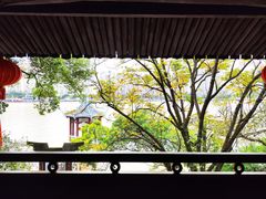-江心屿景区