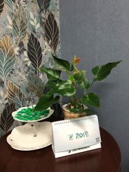 店内环境-美丞医疗美容