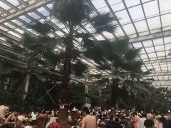 -龙达温泉生态城