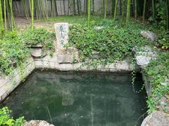 -趵突泉景区