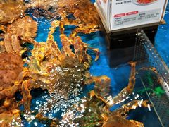 -盒马X会员店(王府井奥莱UP TOWN店)