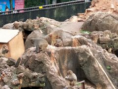 -昆明动物园