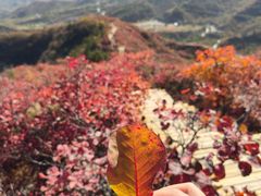 -水峪民俗村