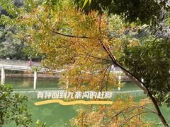 -广州市白云山风景名胜区