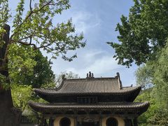 -晋祠公园