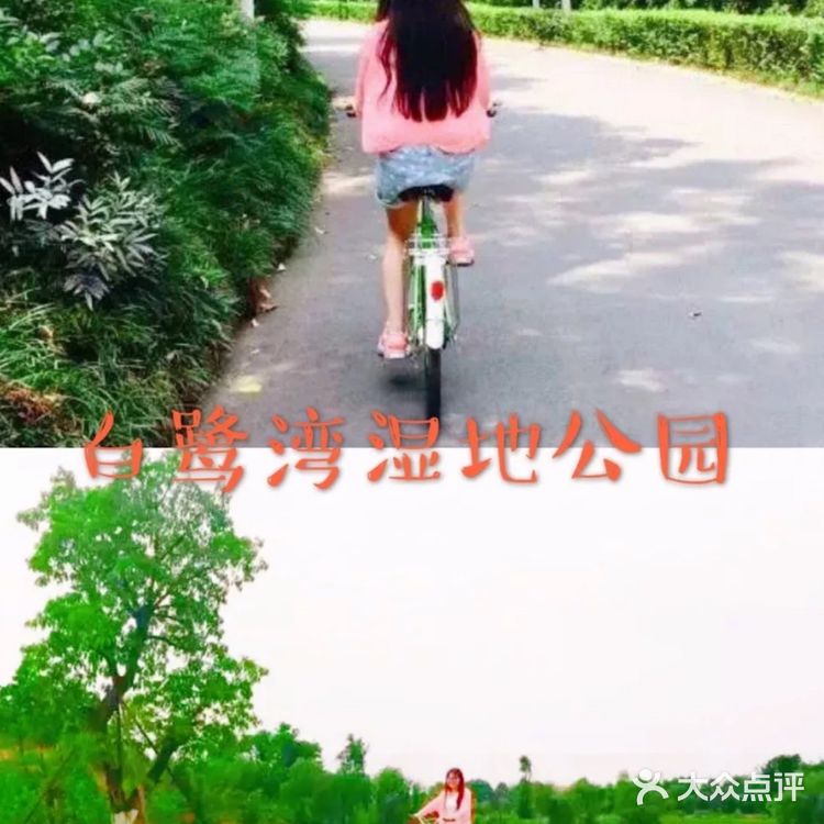 成都旅游攻略丨美好的湿地公园介绍给美好的你