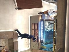 -快乐小羊(富强中路店)