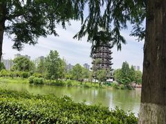 -洋湖国家湿地公园