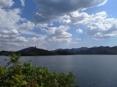 -望湖烤鱼