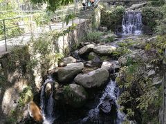 -藏龙百瀑风景区