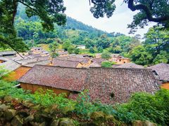 -杨家堂村