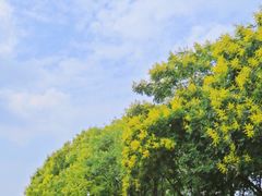 -玄武湖景区-情侣园游乐场